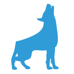 Bluedog
