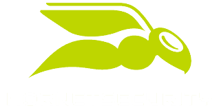 logo hornetsecurity cloud security